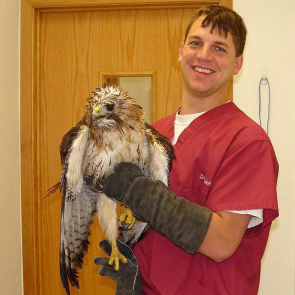 Fellow Mortals Staff – Fellow Mortals Wildlife Hospital